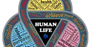 adapt health dme