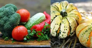 organic food USA