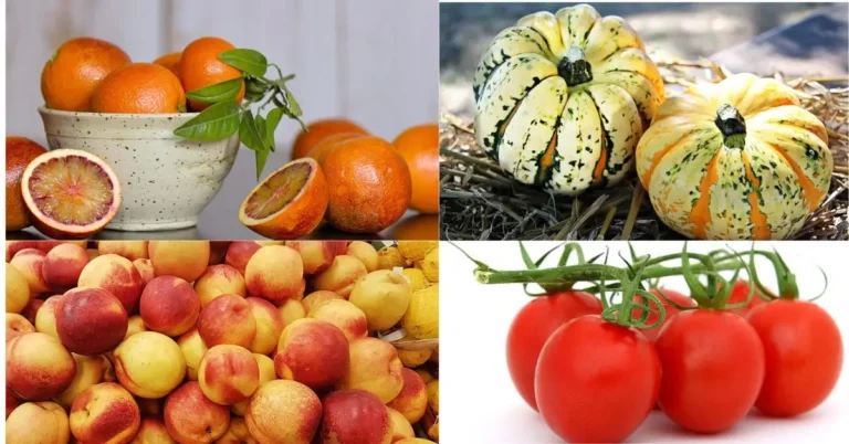 organic food USA