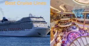 best cruise lines for young adults
