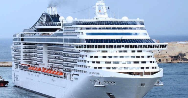 best cruise lines for young adults