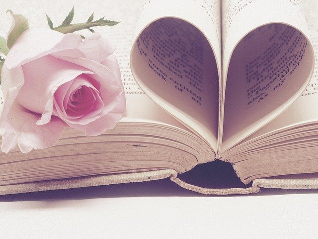 ugly-love-book-summary